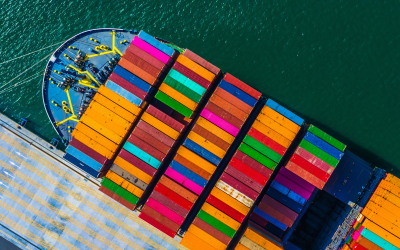Navigating the Complexity of Shipping Compliance: How Logistics Software Simplifies Procedures